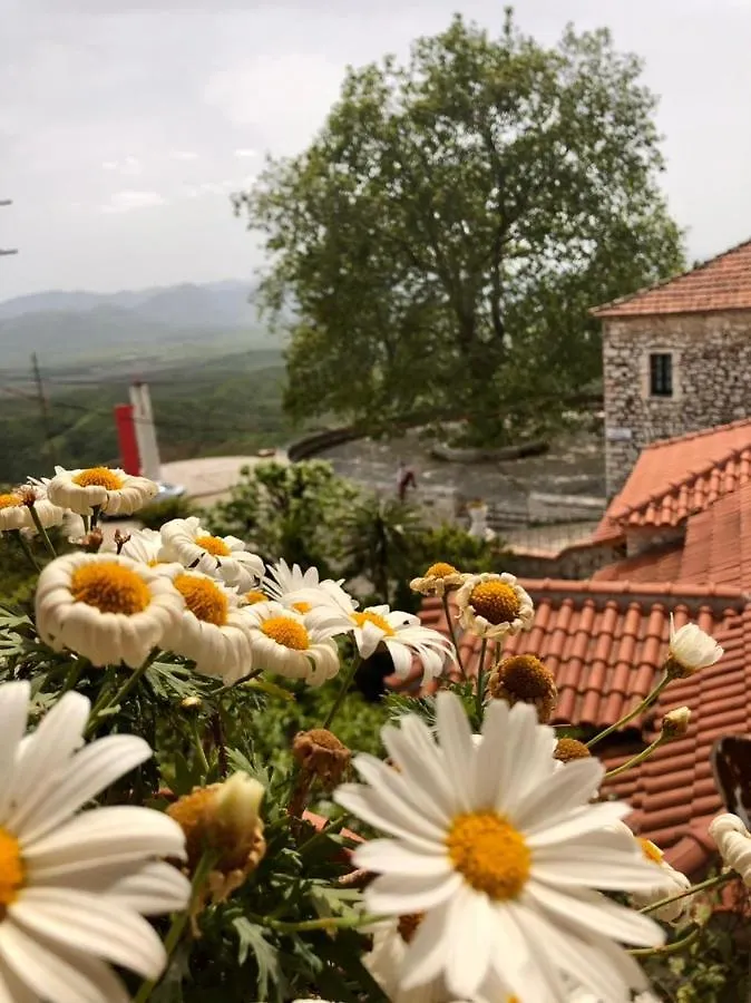 Villa Muzhaqi Nivice 公寓