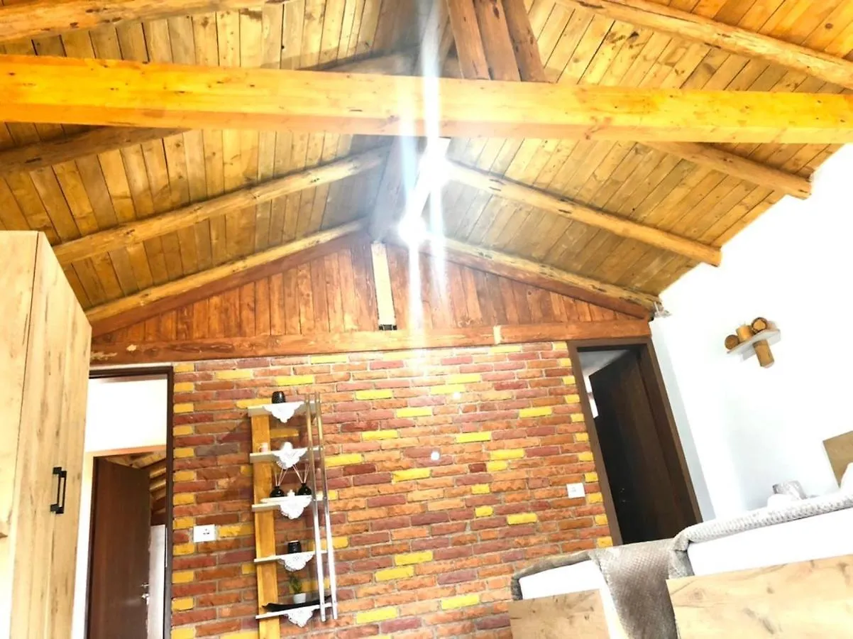 Villa Muzhaqi Nivice