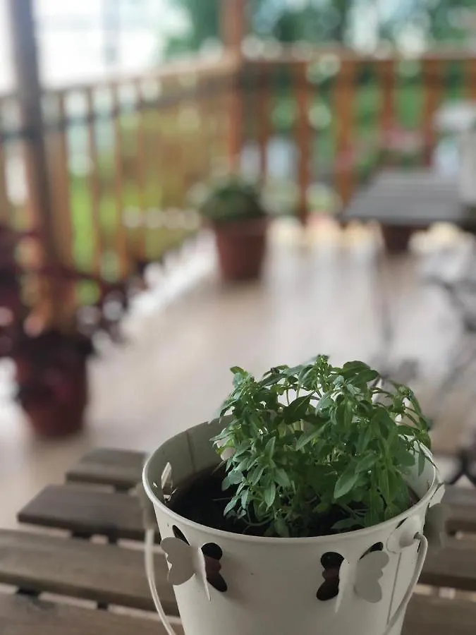 Apartment Villa Muzhaqi Nivice