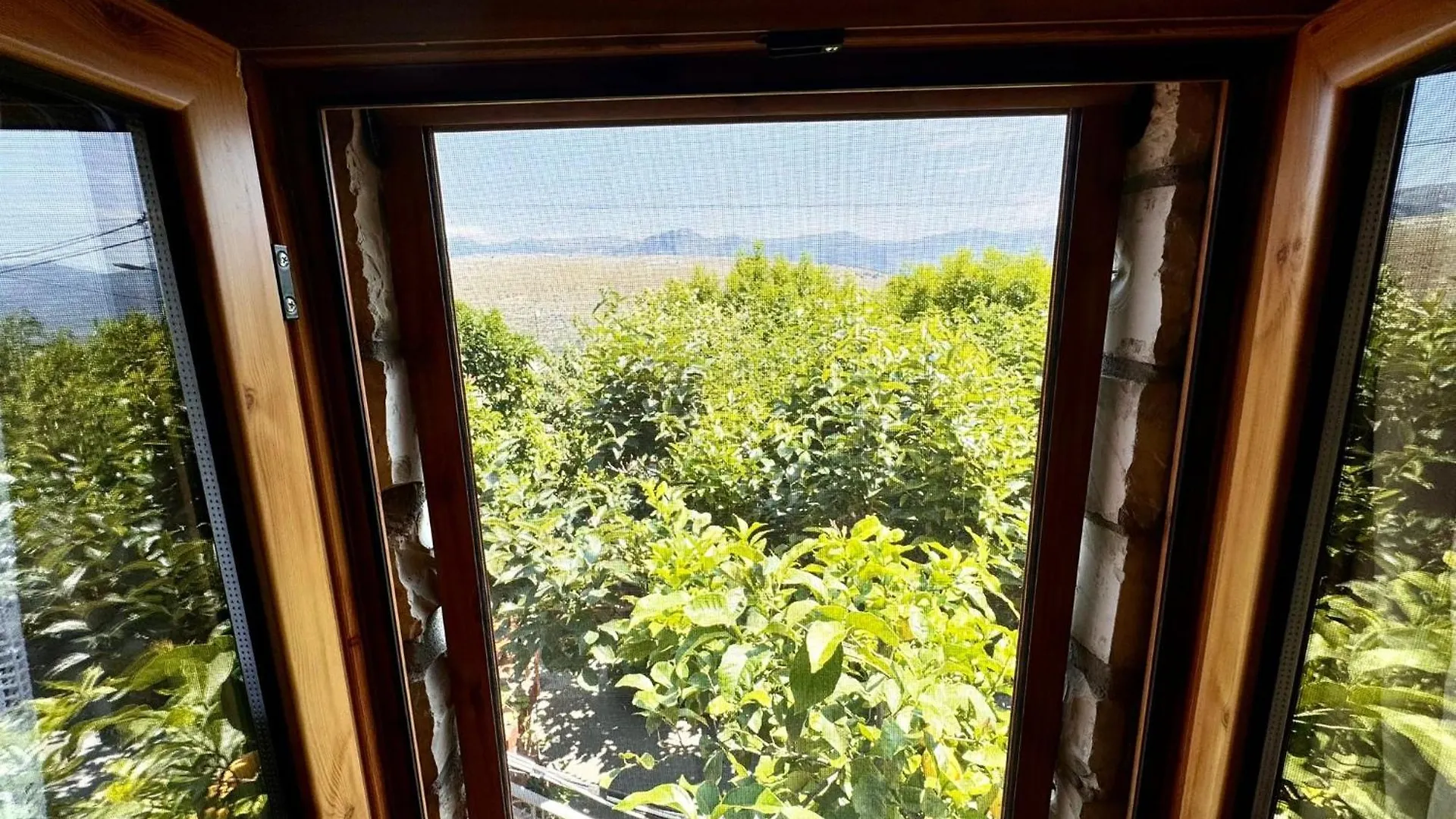 Apartment Villa Muzhaqi Nivice